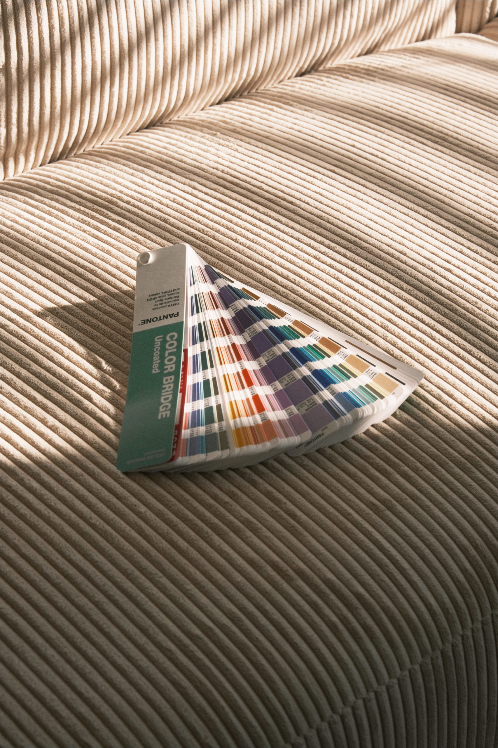 Rogue Studio - bureau 1